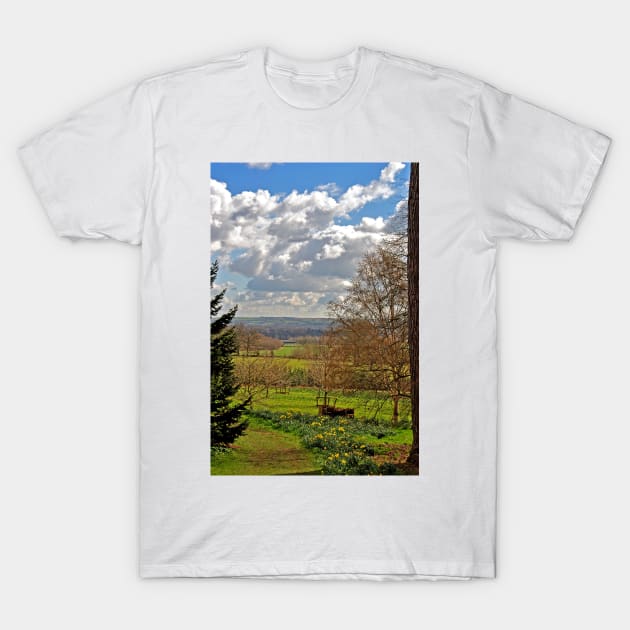 Batsford Arboretum Moreton In Marsh Cotswolds UK T-Shirt by AndyEvansPhotos